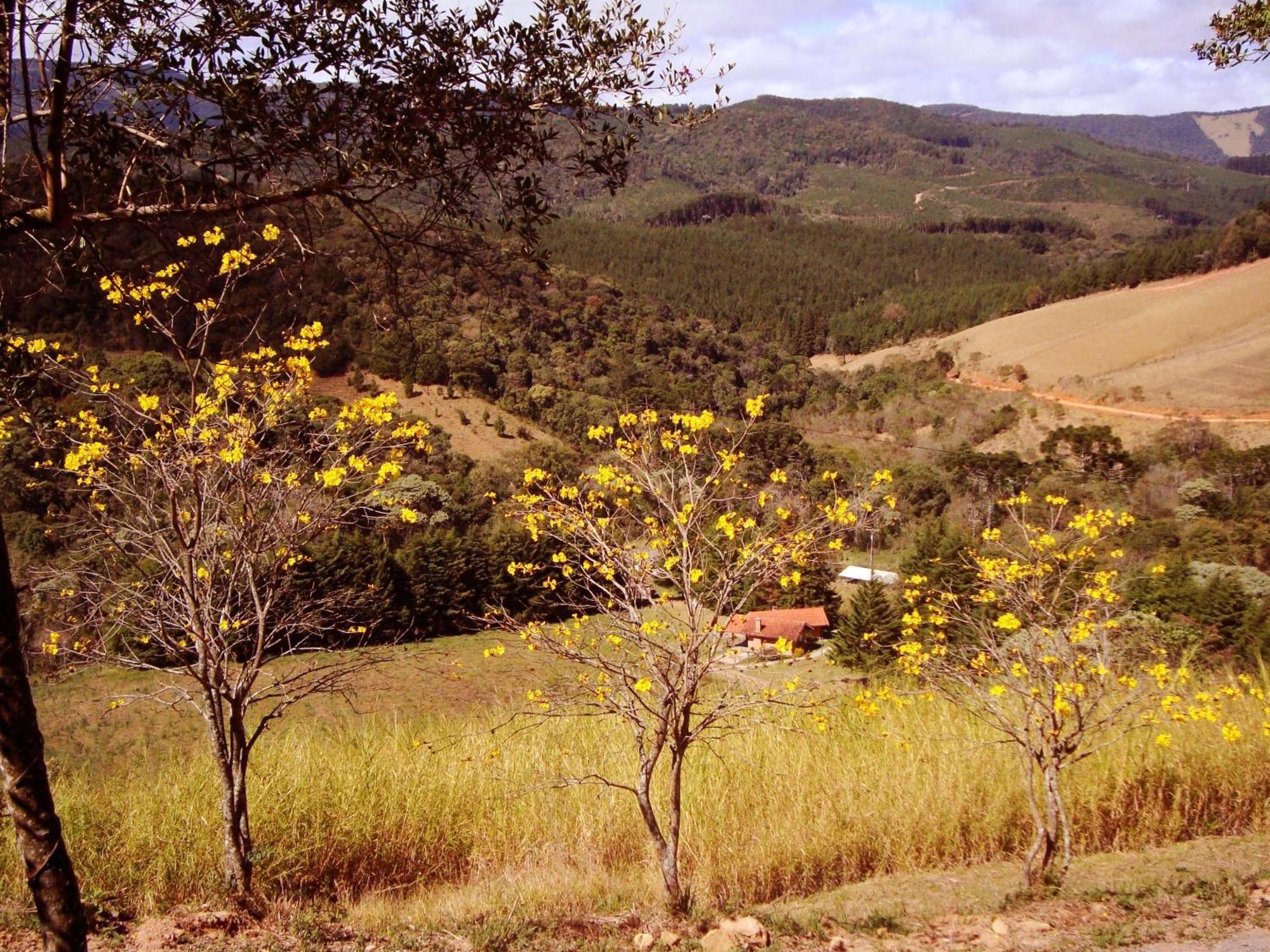 Chales Estrada De Chao Монте Верде Екстериор снимка